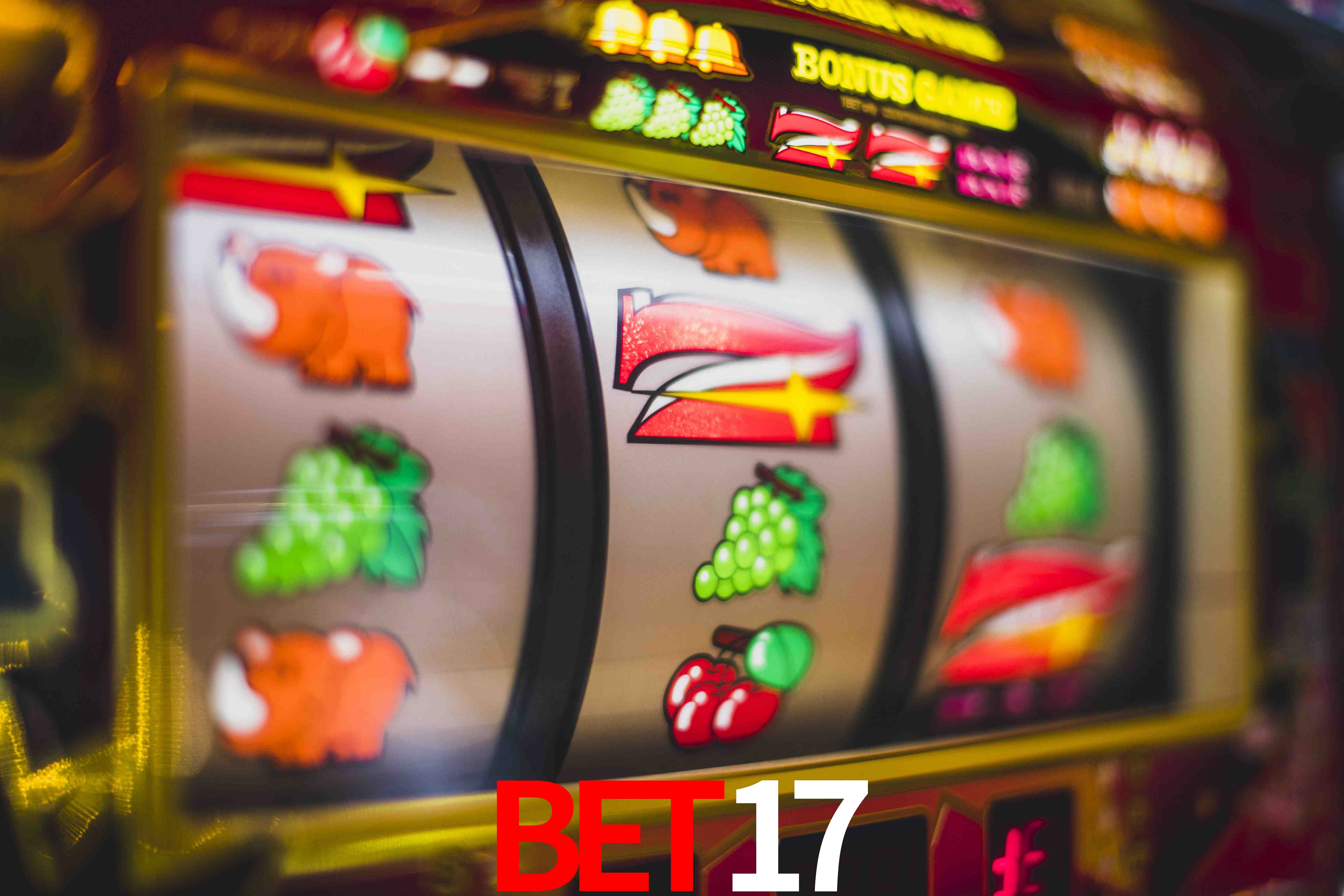 Sports Statistics bet17